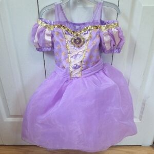 Disney Rapunzel Purple and Gold Princess Dress